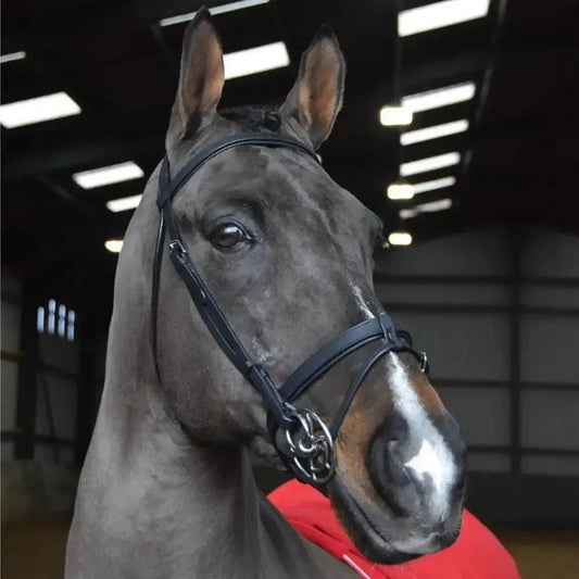 Whitaker Ready To Ride Snaffle Bridle Black-Bridles-John Whitaker-Pony-Black-Horsey Shopping