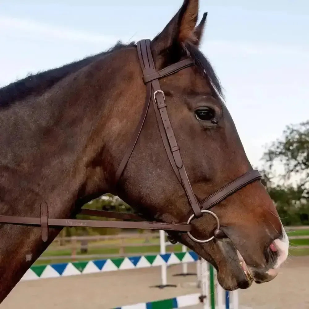 Whitaker Ready To Ride Snaffle Bridle Havana-Bridles-John Whitaker-Pony-Havana-Horsey Shopping