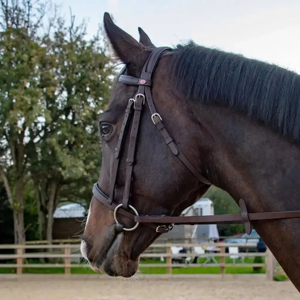 Whitaker Ready To Ride Snaffle Bridle Havana-Bridles-John Whitaker-Pony-Havana-Horsey Shopping