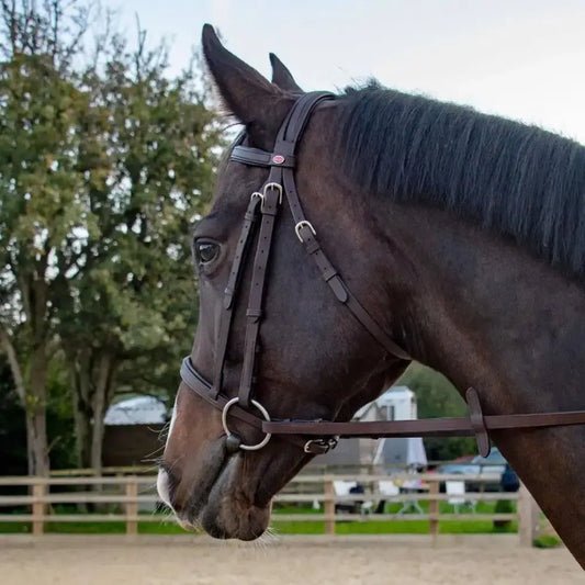 Whitaker Ready To Ride Snaffle Bridle Havana-Bridles-John Whitaker-Pony-Havana-Horsey Shopping