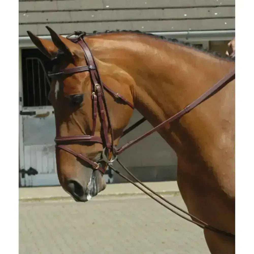 Whitaker Training Rein-Reins-John Whitaker-Black-Horsey Shopping